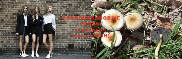 дурь Бронницы