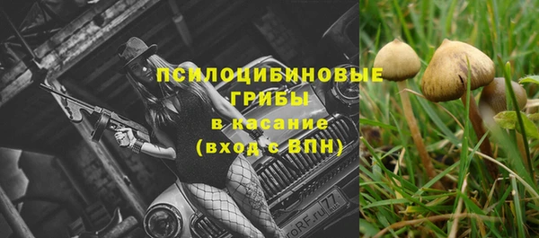 Альфа ПВП Богородск