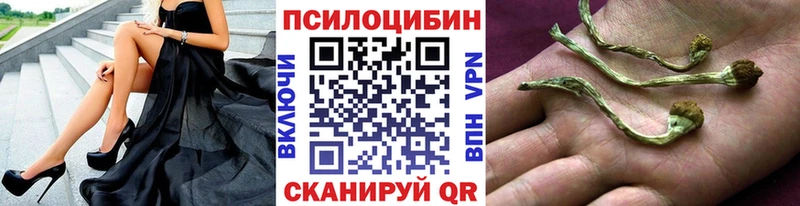 Галлюциногенные грибы мухоморы  Кубинка 